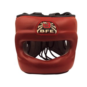 Head Guard